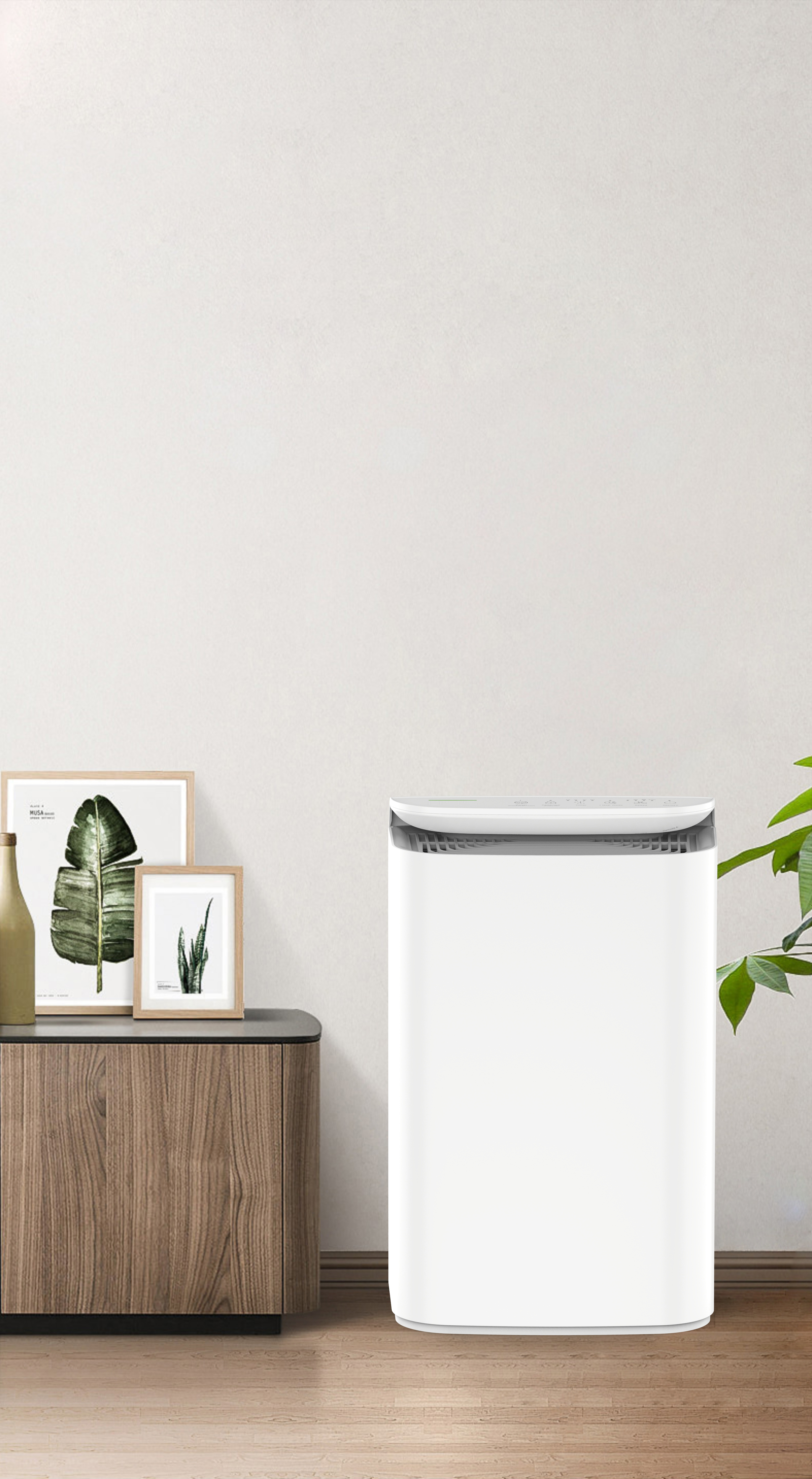 Nadogradite anionsku tehnologiju Svježi dah šume BKJ-16B