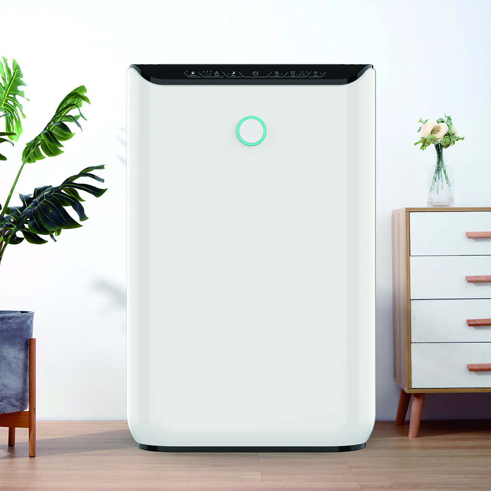 Uklonite formaldehid najbolje, uživajte u svježem zraku većinu bkj-370