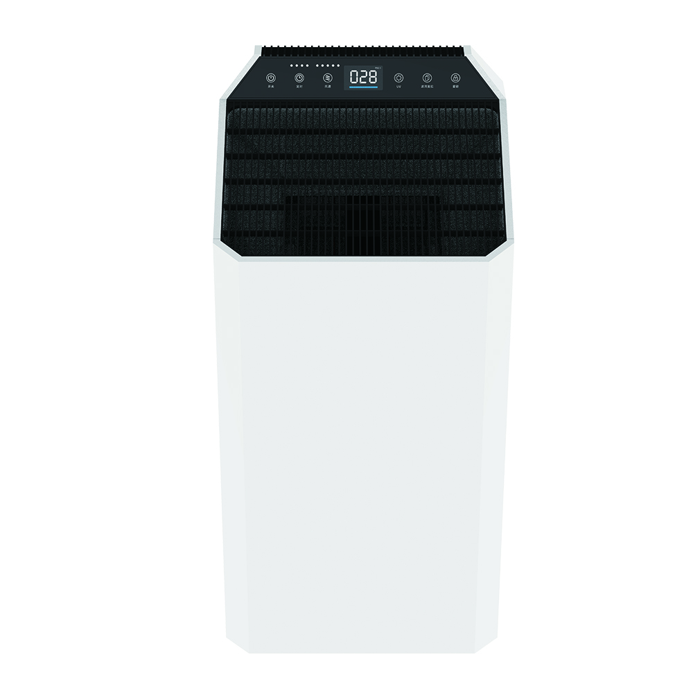 Uklonite formaldehid najbolje, uživajte u svježem zraku većinu bkj-90c