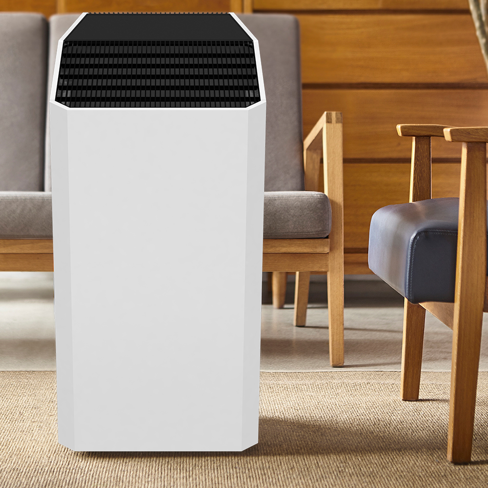 Uklonite formaldehid najbolje, uživajte u svježem zraku većinu bkj-90c