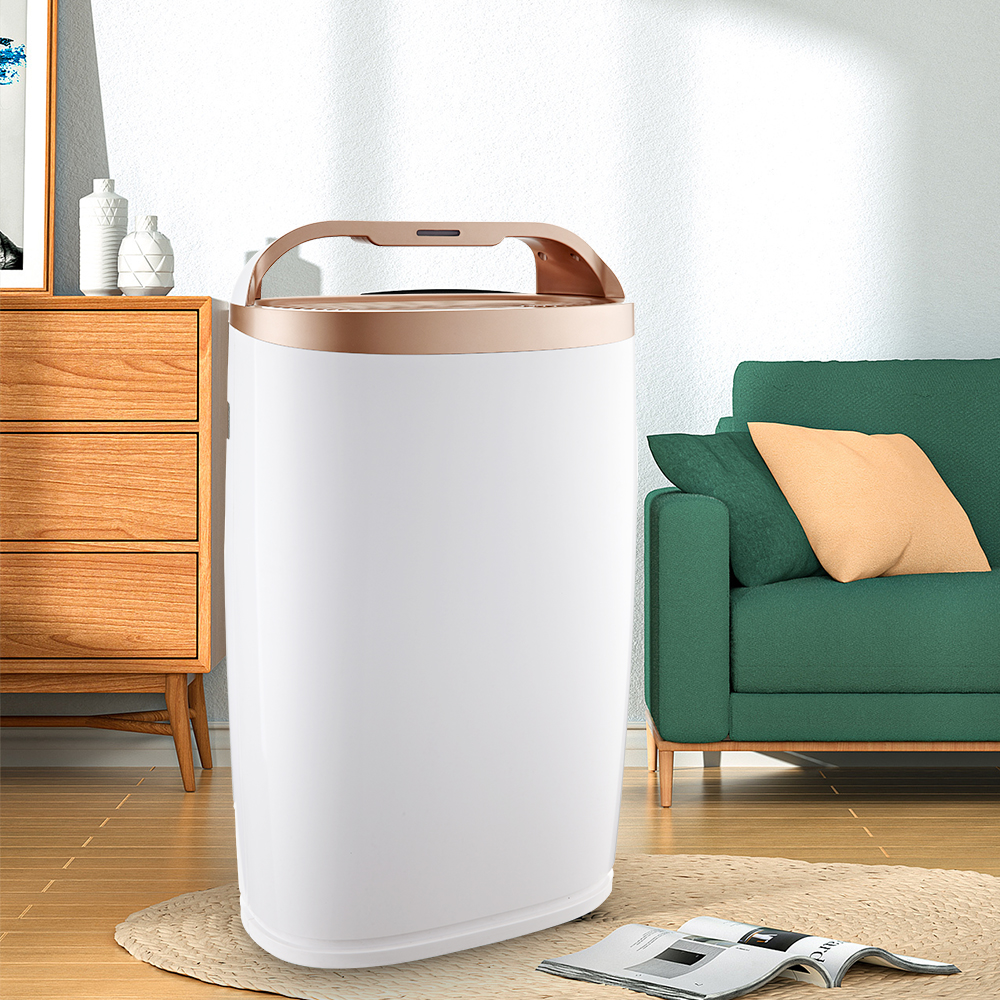 Uklonite formaldehid najbolje, uživajte u svježem zraku većinu bkj-306a